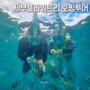 세부 호핑투어 추천 세부플라워트리 오전 조인호핑