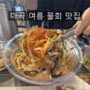 싱싱회수산최강물회 | 마곡나루 맛집 횟집 싱싱회 수산시장｜해산물 듬뿍 모듬물회로 여름 더위 날린 후기