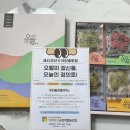 주식회사 디자인오월