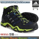비블루