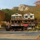 계룡산동학사스타 이미지