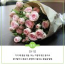 근조화환꽃배달관엽식물