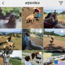 인 남해 이미지