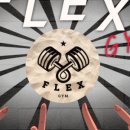 플렉스 짐 이미지