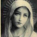 영진교역 이미지