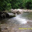 속리산계곡펜션 이미지