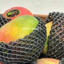 브리지팜 이미지