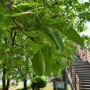 자인계정숲 이미지