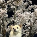 CU공릉플러스점
