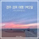 1박2일 경주 감포 가족여행 / 바다속여행대도 후기