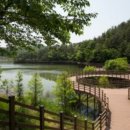 연기대첩비공원 이미지