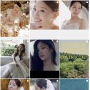 DVD, 짝꿍코드] 웨이블렛, 유어브로드, 지지오티필름...르랑필름, 코지레코드, 잉필름, 스냅스타, 스냅온아