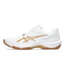 1071 | 아식스 배드민턴화 코트 컨트롤 FF 4 직접 신어보고 느낀 변화들