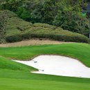 테디밸리CC 이미지