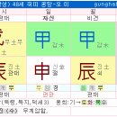 신자진
