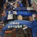 영등라인1 이미지