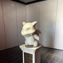 포켓파크 공연(피카피카 스파크), 포켓몬 포레스트, 기념품샵 굿즈
