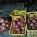 탑리농장 이미지