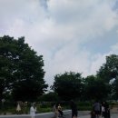 바람이 부는대로 이미지