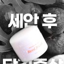 리드프레쉬