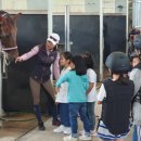 조천초등학교교래분교 이미지