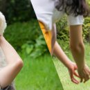 2023 청도 펫티켓 문화콘서트 이미지