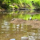 로뎀펜션하우스 이미지