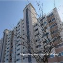 의료법인 강릉동인병원 이미지