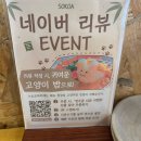 소코아 - 남동구 인하로511번길 40 | 광주 동명동 점심 추천 | 카레부터 아보카도 냉우동까지! 소코아 동명본점 후기