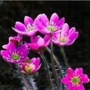 통영우리바다펜션 이미지