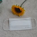 참플러스 덴탈 이미지