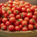 우리건강식품 이미지