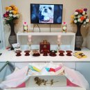 아름다운 애견 이미지