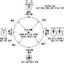 음양오행의 조화 이미지