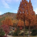 호수풍경속으로 이미지