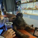 바밤(BAR BAM)