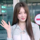 낭만고양이 이미지