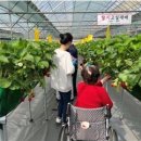 김기훈농장 이미지