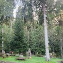 엘와이지 | 시애틀 올림픽국립공원 RV캠핑장 솔직후기 /Hide Away rv park, Elwha dam rv park