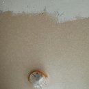 한신아파트 뉴코아상가 | 대전 비래동 한신휴플러스 아파트 세탁실 곰팡이 제거 페인트 시공후기