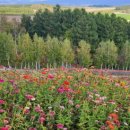 충현농장 이미지