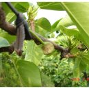 은산농장 이미지