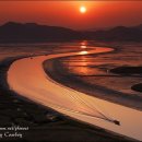 순천만 풍경 이미지