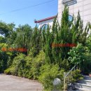 봉산면사무소 이미지