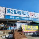 울산정자참가자미회타운 이미지