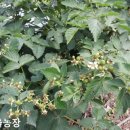 산여울농장 이미지