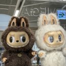 이모밥줘 | "이모 저거 사줘" 조카가 센텀시티 백화점에서 1시간 붙잡혀 있던 이유