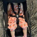 그랜드 | 제주그랜드조선 숙박후기｜편의점·수영장 위치 솔직리뷰