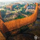 가을 단풍과 국화가 있는 가을 여행 이미지