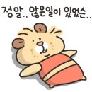 송탄고가길 이미지